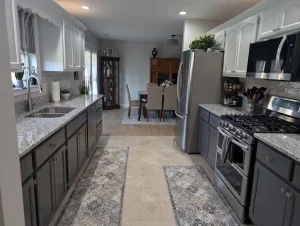 Sarek-cabinet-painting-2